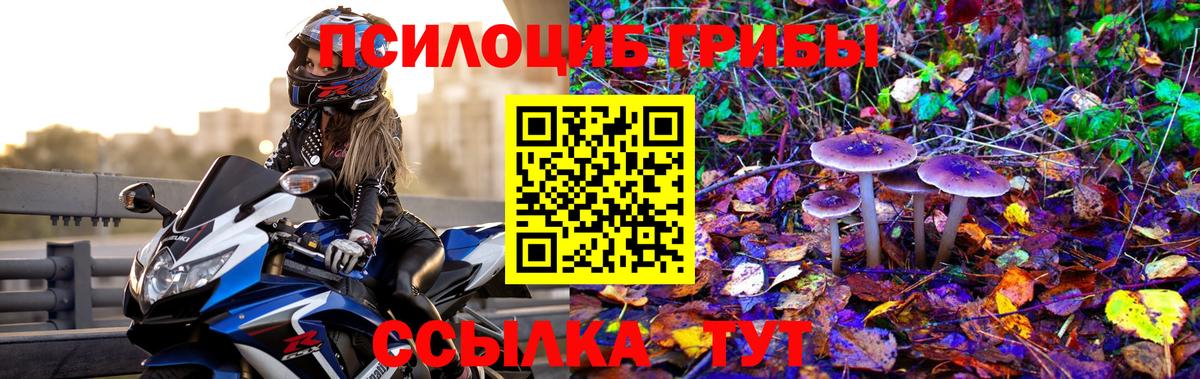 Ачхой-Мартан  Галлюциногенные грибы ЛСД  Вход с VPN 